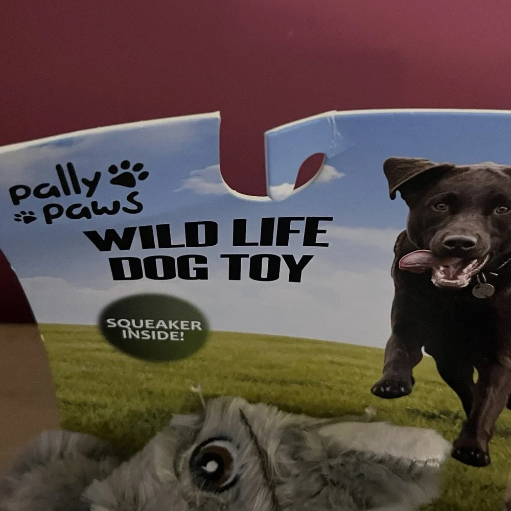 Pally Paws Squirrel 14